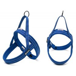 Truelove Alaska harness