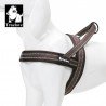 Truelove Alaska Поводок - TLH5811