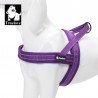 Truelove Alaska Поводок - TLH5811