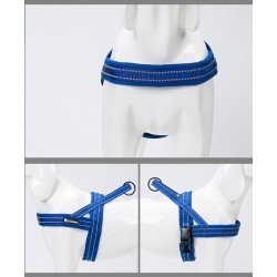 Truelove Alaska harness