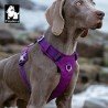 Truelove Colorado arnes - TLH6281