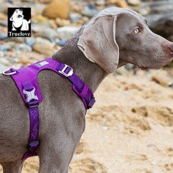 Truelove Colorado arnes - TLH6281