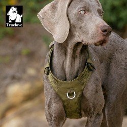 Truelove Colorado harness