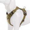 Truelove Colorado harness