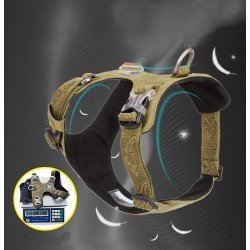 Truelove Colorado harness