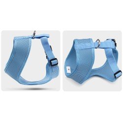 Truelove Saloon harness