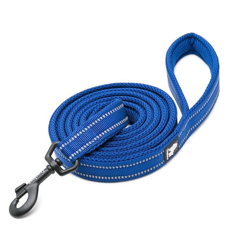 Truelove Walk leash