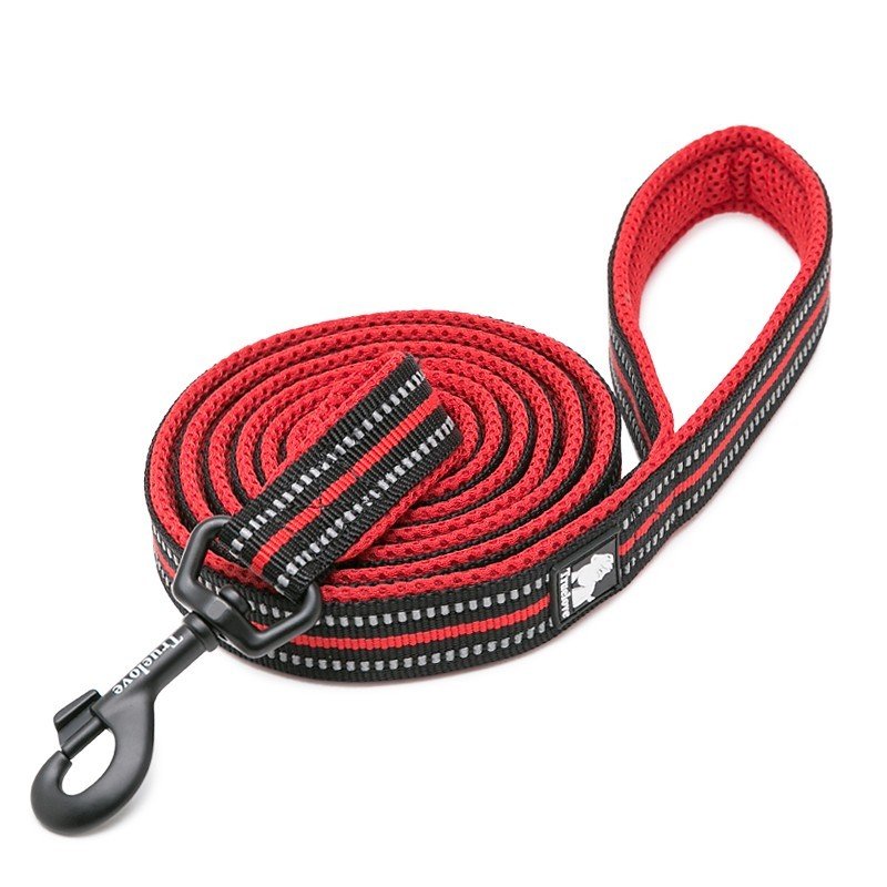 Truelove Walk leash