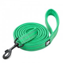 Truelove Walk correas - TLL2111