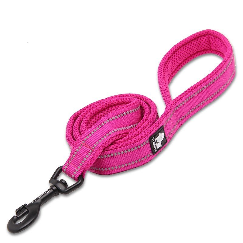 Truelove Walk leash
