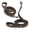 Truelove Walk leash
