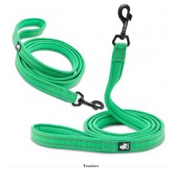 Truelove Walk leash