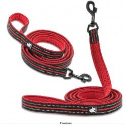 Truelove Walk leash