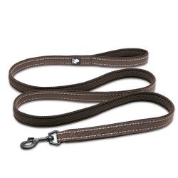 Truelove Walk leash