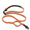 Truelove Capture leash