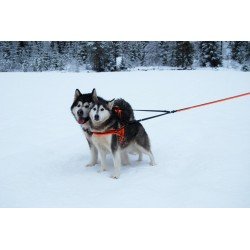 Truelove 3 points dog correas - TLL2371