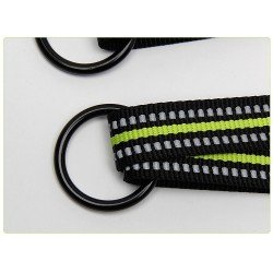 Truelove 3 points dog correas - TLL2371