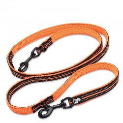 Truelove 3 points dog leash