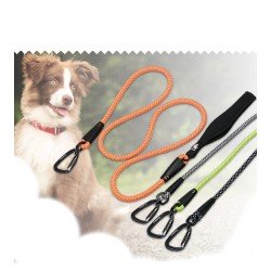 Truelove Running leash