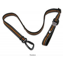 Truelove Climb correas - TLL2671