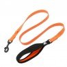 Truelove Pull leash