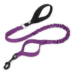 Truelove Flow leash