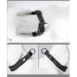 Truelove Flex collares - TLC5011