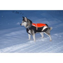 Truelove Snow winter coat