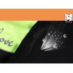 Wiosenny płaszcz Truelove - TLG2471