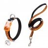Truelove CUTE collar and leash for cat - TLC5311
