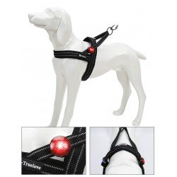 TRUELOVE LED - TLD19101