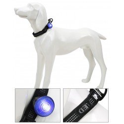 TRUELOVE LED - TLD19101
